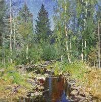 Forest Stream