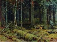 Dark Forest