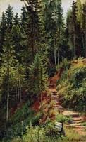 Path in the Woods