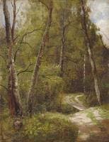 Path in the Woods