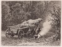The Bonfire