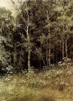 Flowers in the Forest