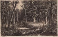 Black Forest