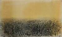 Thistles