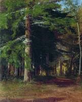 Forest (study)