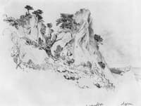 Pines. Alupka