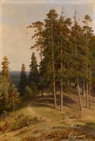 The Pine Forest