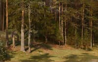 Forest Clearing
