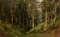 Forest Clearing