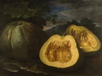 Zucca dei monaci di Monteoliveto