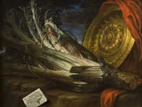 Cardo maggiore di Spagna dei padri di San Pietro d'Alcantara