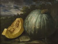 Zucca del giardino graducale di San Francesco a Pisa
