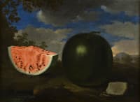 Cocomero di Amerigo Baldi