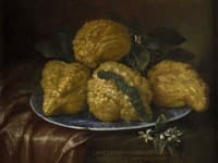 Quattro cedrati di Firenze su un piatto di ceramica
