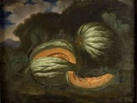 Popone "cotigniolo" del marchese Capponi