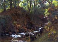 A Derbyshire Brook