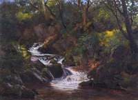A Derbyshire Brook