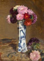 Asters