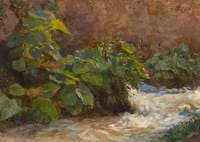Burdocks