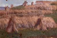 Fields