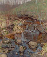 Forest Stream