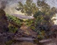 Landscape with Bushes and Trees