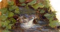 Leaves and a Waterfall