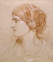 Profile of a Woman's Head