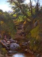 The Brook