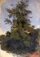 Tree at the Water's Edge