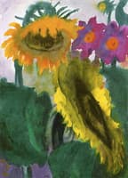 Sunflowers in Full Bloom