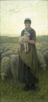 Return of the Flock