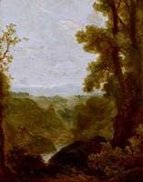Wooded Landscape