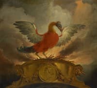 A Phoenix