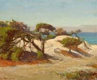 Monterey coast