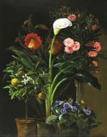 Still Life with Streptocarpus, Oleander, Calla Lily, Cactus Flowers and and Orange Tree
