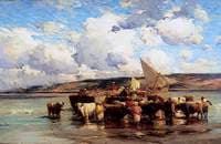 Embarking Cattle, Morocco