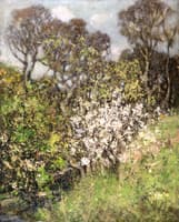 Hedgerow