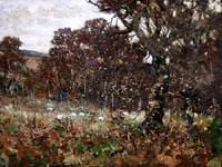 Woodland with Sheep