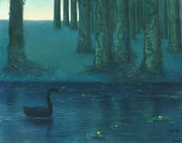 The Black Swan
