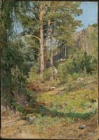 Pine Forest Skutudden