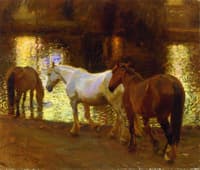The Ford at Dusk