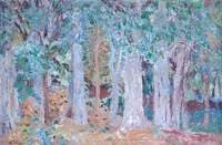 Trees