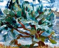 Windy Landscape