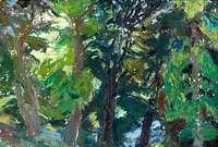 Woods at Temple