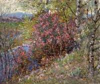 Flowering Shrubs, Spring on Esk