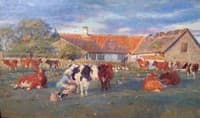 Evening in Saltholm