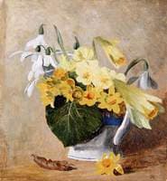 Spring Flowers