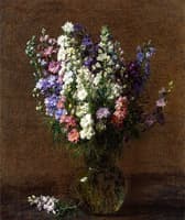 Larkspur