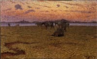 Cows on the Beach
